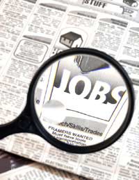 Jobs Job Search Employment Job Listings